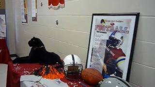 office decorations 2009