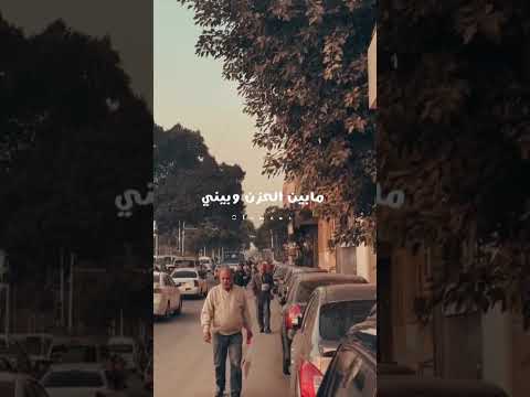 عايش بداوي سنين في همومي محمد منير