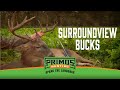 Surroundview Bucks