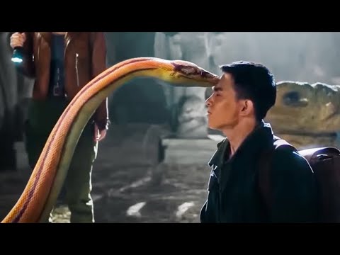 Video: Cât de periculos este șarpele de cupru pentru oameni