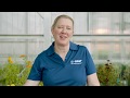 Nemasys® Beneficial Nematodes: Soil Application