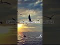 اللع يعلم كل شئ اسلام صبحي Quran قران كريم قرا Explore Shorts تيك توك اللع يعلم كل شئ اسلام صبحي Quran قران كريم قرا Explore Shorts تيك توك
