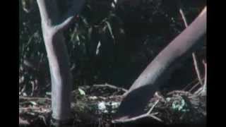 Video 2012 09 01 073619