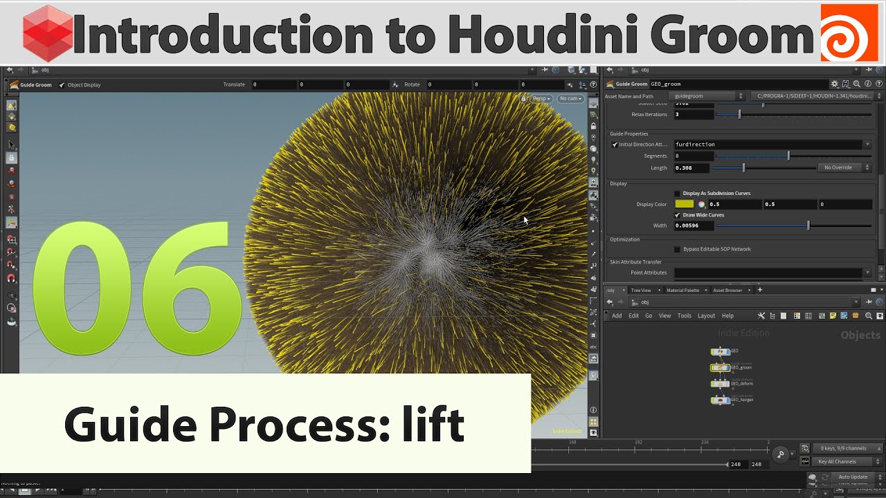 06 - Introduction to Houdini Groom - Guide Process: Lift - YouTube