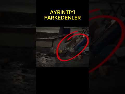 AYRINTIYI FARKEDENLER #kardeşlerim