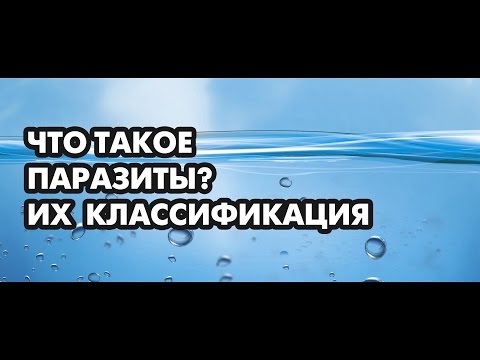 Что такое паразиты, их классификация. Доктор, блогер Борис Скачко