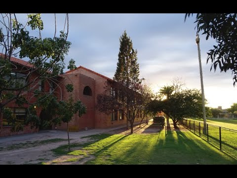 Colegio Los Olivos