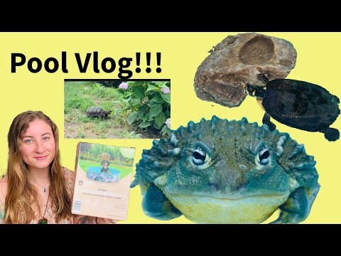 Pool Vlog!