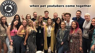 20+ Pettubers in 1 Room! PETFEST 2019 VLOG