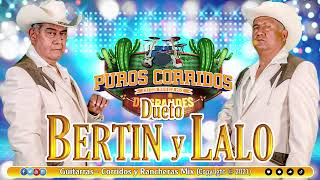 DUETO BERTIN Y LALO MIX EXITOS 🎵🔔 GUITARRAS - CORRIDOS Y RANCHERAS MIX 🔔🎵 PUROS CORRIDOS MIX🔔🎵🔔🎵🔔🎵🔔🎵