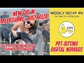 A new gig in melbourne australia  weekly recap 6 12924  2424  petsitting digital nomads