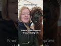 Alpacas don’t know how funny they are #animallife #cute #funnyshorts #animalfriends