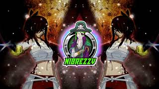 Erza Scarlet's Theme Trap Remix (Prod: NIBREZZY) Resimi