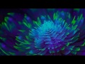 432Hz + 639Hz | Ethereal Music | 9 Hours