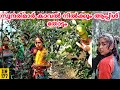 പഹാഠി സുന്ദരിമാർ കാവൽ നിൽക്കും 🍎 തോട്ടം EP 177 | Apple Farm Thalisain Uttarakhand