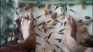 Sivak Guhantara Fish Spa -  20181208 172840