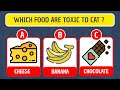 Can You Pass The Cat Quiz Challenge ? General Knowledge Test