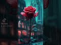 يا زارع الخير تحصد به ثمرا