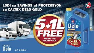 Caltex Delo D 51L