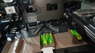 Famous Fully Automatic Bagging Machine in Action – High Speed Packaging Line. Wealth