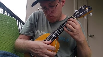 Maggie the Magpie (original by Robert Rowe for #FiftyNinety)