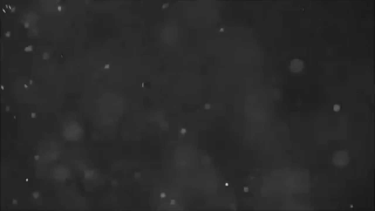 StinkyDonk Intro - NEW. Sept 2015.