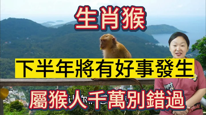 生肖猴！下半年將有好事發生！屬猴人千萬別錯過！把握住機會！好運連連！ - 天天要聞