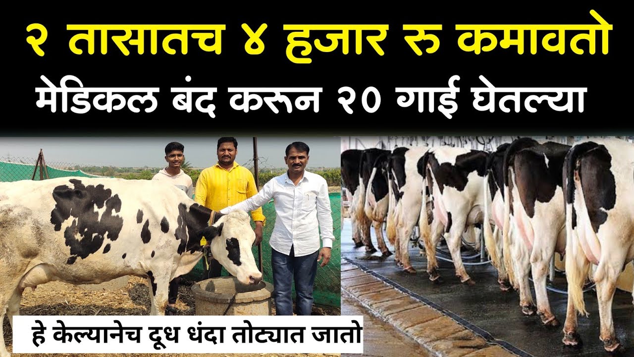 मेडिकल व्यवसाय बंद करून चालू केला दूध व्यवसाय || कामावतोय 2 लाख रुपये महिना
