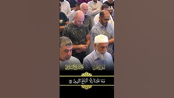 سورة يس بصوت ملائكي للشيخ هزاع البلوشي  #المصحف #اكسبلور #راحة نفسية