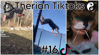 Therian Tiktoks #16 by quit 229,830 views 1 year ago 19 minutes