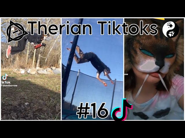 Therian Tiktoks #16 
