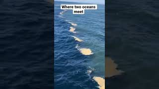 Where two oceans meet - Sri Lanka 🇱🇰  #oceans #intersections #oceanmeet #water #srilanka