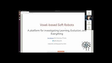 Evolutionary Robotics: Voxel-based Soft Robots