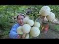 Tasty Fresh Wood Apple With Ka Pik Stir Fry Eating - Eating Fresh Wood Apple - Simple Life Cooking