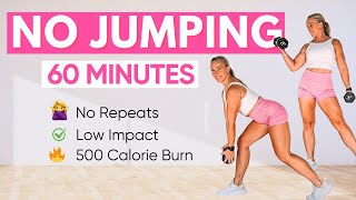 60 MIN LOW IMPACT FULL BODY WORKOUT | No Jump | No Repeats