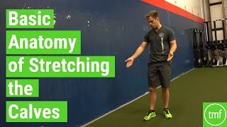 Basic Anatomy of Stretching the Calves | Ep 100 | Movement Fix Monday | Dr. Ryan DeBell