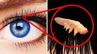 30 Shocking Facts about Human Eye