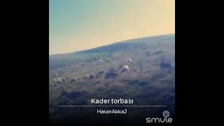 Kader Torbası - Hasan Akkaş Resimi