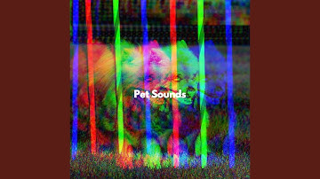 Pulsating Ambience for Smart Pups