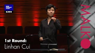 Malko Competition 2021, 1st Round: Linhan Cui conducts Haydn: Symphony No. 104 1. mov.