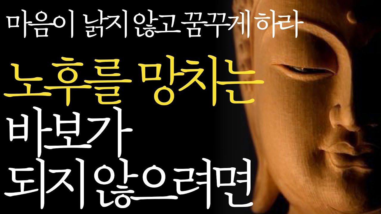 Outline Video 석가모니 명언 | 인생조언 | 비참한 노후를 만드는 치명적인 실수 | 인생 최고로 잘사는법 | 인생 후반전 준비 | 나이들수록 귀티나고 | 매일 듣는 부처님 말씀