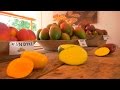 Producción Manual de Mango de Exportación - TvAgro por Juan Gonzalo Angel