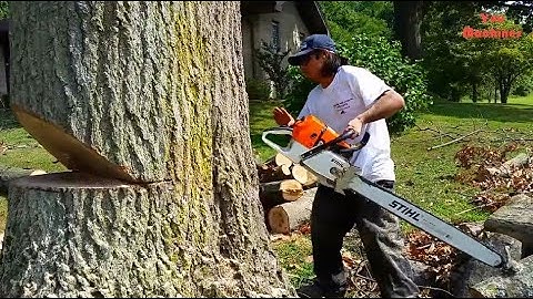 Amazing Dangerous Skills Fastest Big Tree Felling, Extreme Biggest Tree Cutting Down Machines
