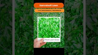 Top 10 Lawn Grass Types in Asia #lawnIndia #SamratsoftLawn