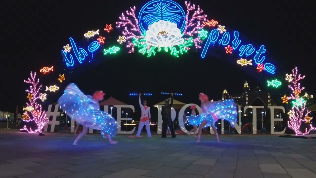 UV show, neon led show Dragonfly