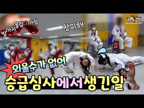 태권도 승급심사 외울수가 없어요 엄마가 창피해요 떨어졌나요? 헐 | 가족유튜브 모야모야패밀리