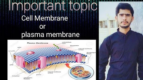 Cell membrane, structure, composition and functions|Sindhi language