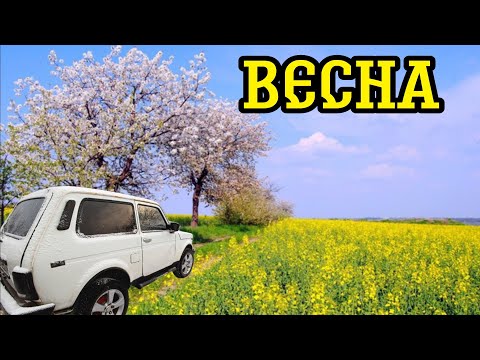 Весна ЛУЧШИЕ ДНИ МЕТАЛЛОКОПА #заработок #hunting #копарь #металлокоп #копвпосадке #коп #котокоп