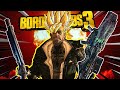 The zane experience borderlands 3 meme build