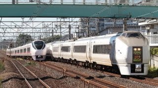 651系スーパーひたちとE657系の離合 南柏にて